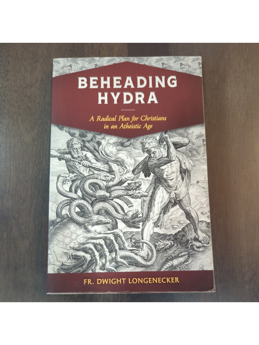 Beheading Hydra: A Radical Plan for Christians in an Atheistic Age - VERY GOOD